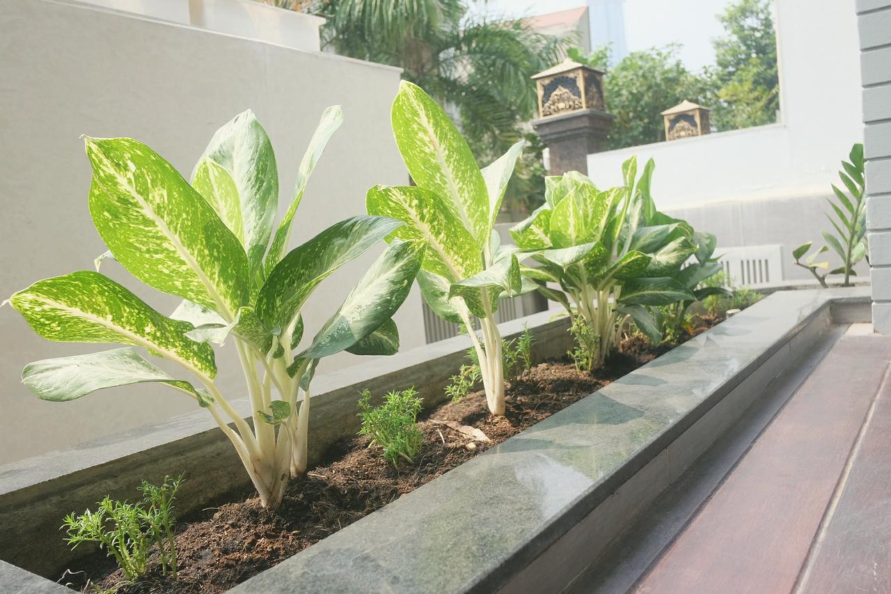 Greenwood Villa Saigon Ho Chi Minh-staden Exteriör bild
