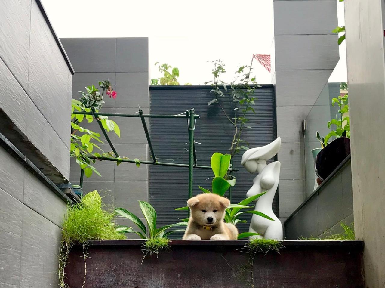 Greenwood Villa Saigon Ho Chi Minh-staden Exteriör bild